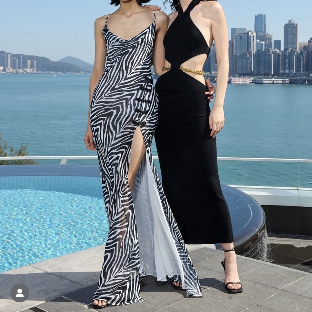 Sau lee chiffon zebra print maxi dress size small